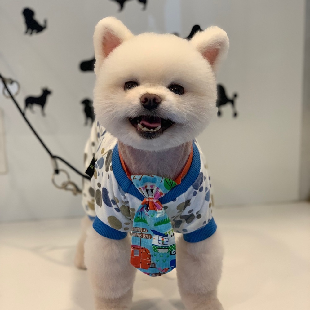 Meet your Posher, Rita